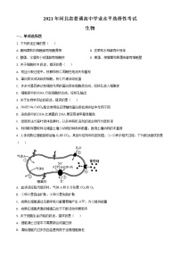 2021年新高考河北生物高考真题及答案解析 (原卷+解析卷)