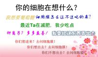 人教版 (新课标)必修1《分子与细胞》第四章 细胞的物质输入和输出第3节 物质跨膜运输的方式教学演示课件ppt