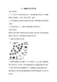 生物第2节 细胞的分化学案