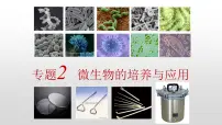 人教版 (新课标)选修1《生物技术实践》课题1 微生物的实验室培养示范课ppt课件