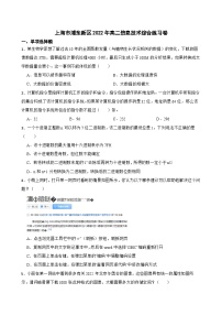 上海市浦东新区2022年高二信息技术综合练习卷