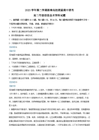 浙江省浙南名校联盟2023-2024学年高二下学期4月期中信息技术试卷（Word版附解析）