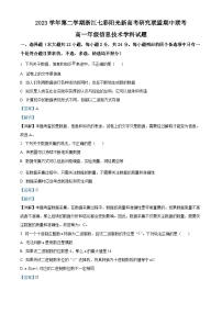 浙江省七彩阳光新高考研究联盟2023-2024学年高一下学期期中联考信息技术试卷（Word版附解析）