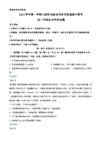 浙江省七彩阳光新高考研究联盟2024-2025学年高二上学期11月期中信息技术试题（Word版附解析）
