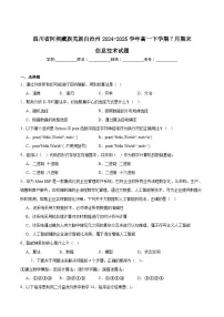 四川省阿坝藏族羌族自治州2024-2025学年高一下学期期末考试信息技术试题（Word版附答案）
