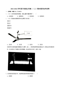 2023-2024学年四川省眉山市高二（上）期末通用技术试卷