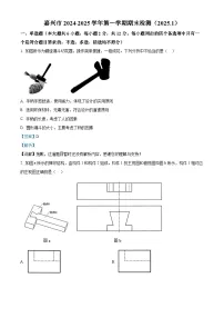 浙江省嘉兴市2024-2025学年高二上学期期末测试通用技术试题（Word版附解析）