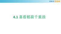 高中语文人教统编版必修 上册4.1 喜看稻菽千重浪――记首届国家最高科技奖获得者袁隆平说课ppt课件