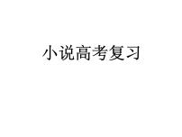高考语文一轮复习 小说之高考复习课件PPT