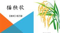 必修 上册6.2 插秧歌教学演示ppt课件