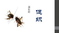 语文必修 下册14.1 促织教课内容ppt课件