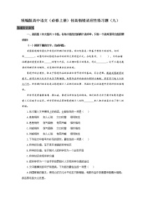 统编版高中语文（必修上册）初高衔接适应性练习题（九）（附答案与解析）