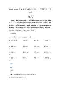 2021-2022学年山东省济南市高一上学期学情检测语文试题含解析