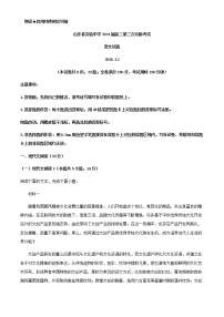 2021届山东省济南市实验中学高三上学期第三次诊断语文试题含解析