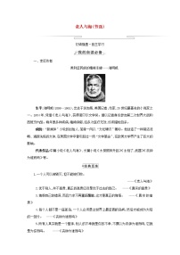 高中语文人教统编版选择性必修 上册10 *老人与海（节选）学案