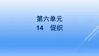 人教统编版必修 下册第六单元14（促织 * 变形记（节选））14.1 促织教课课件ppt