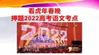 41 看虎年春晚,押题2022高考语文考点-2022年高考作文热点新闻素材积累与运用课件PPT