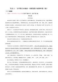 考点11 文学类文本阅读—分析鉴赏小说的环境（分层练习）-2022年高考语文一轮复习讲练测