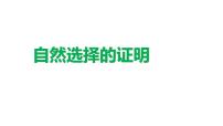 高中语文人教统编版选择性必修 下册13.1 自然选择的证明课文ppt课件