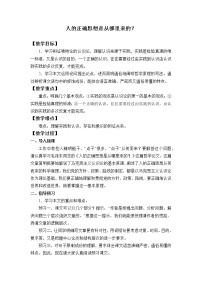 人教统编版选择性必修 中册2.2 人的正确思想是从哪里来的？教案