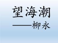 人教统编版选择性必修 下册4.1 *望海潮（东南形胜）课堂教学ppt课件