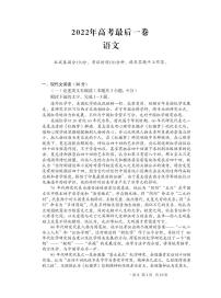 安徽省十校联盟2022届高三下学期最后一卷语文试题（含答案）