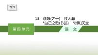 高中语文人教统编版选择性必修 中册13.4 *树和天空图文课件ppt