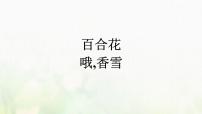 必修 上册3.1 百合花图文ppt课件