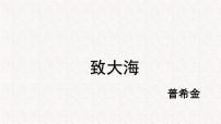 高中语文人教统编版选择性必修 中册13.2* 致大海教学ppt课件