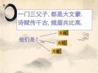 高中语文人教统编版必修 上册16.1 赤壁赋优秀ppt课件