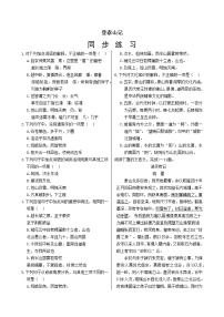 高中语文人教统编版必修 上册16.2* 登泰山记精品当堂检测题