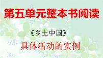 高中语文人教统编版必修 上册第五单元 整本书阅读《乡土中国》教课ppt课件