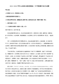 2021-2022学年云南省名校联盟高二下学期期中语文试题含解析