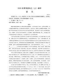 2021北京海淀区高三上学期期中考试语文试题含答案