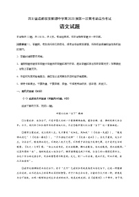 2020四川省棠湖中学高三第一次高考适应性考试语文试题含答案