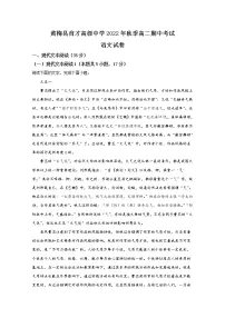 湖北省黄冈市黄梅国际育才高级中学2022-2023学年高二语文上学期期中考试试题(Word版附解析)