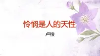 高中语文人教统编版选择性必修 中册4.2 *怜悯是人的天性示范课ppt课件