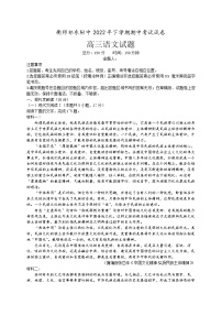 湖南省衡阳师范学院祁东附属中学2022-2023学年高三上学期期中考试语文试卷Word版含答案