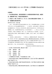 天津市红桥区2022-2023学年高三上学期期中考试语文试题含解析