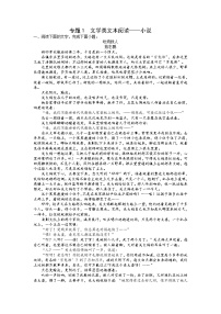 文学类文本阅读——小说-备战2023年高考语文专项复习练(学生版+答案)