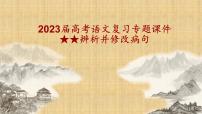 2023届高考语文复习：辨析并修改病句 课件