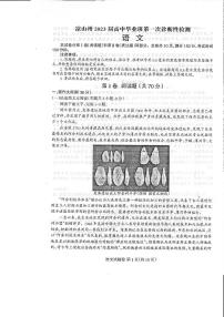 2023届四川省凉山州高中毕业班第一次诊断性检测语文试题及答案（含答题卡）