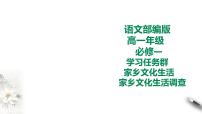 高中语文人教统编版必修 上册二 家乡文化生活现状调查精品ppt课件