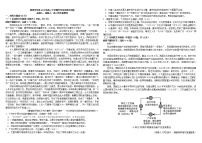 2023届四川省成都市树德中学高三下学期开学考试语文试题