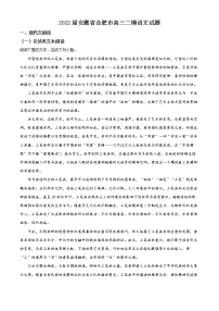 2022合肥高三下学期第二次教学质量检测语文试题含解析