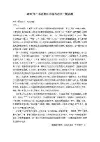 2023年广东省湛江市高考语文一模试卷（含答案解析）