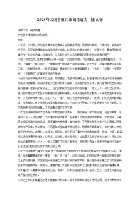 2023年云南省丽江市高考语文一模试卷(含答案解析)