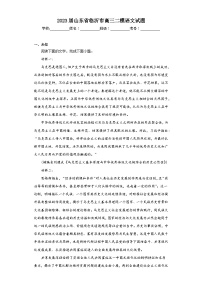 2023届山东省临沂市高三二模语文试题(含答案)