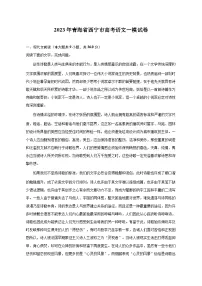 2023年青海省西宁市高考语文一模试卷-普通用卷(含解析)