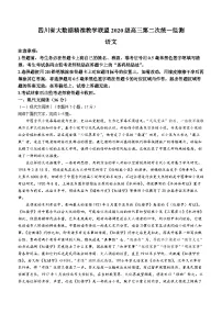 四川省大数据精准教学联盟2022-2023学年高三下学期第二次统一监测语文试题 附答案